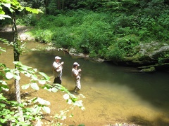 Doe River 28Jun09  7 